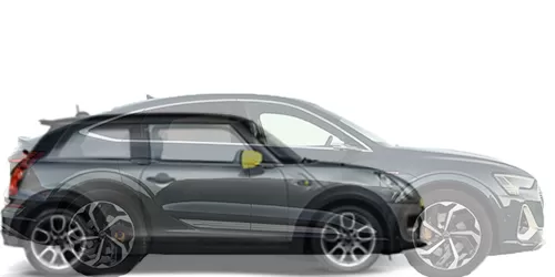 #e-tron Sportback 55 quattro + MINI Electric 2020-