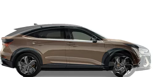 #e-tron Sportback 55 quattro + ARIYA 90kWh 2021-
