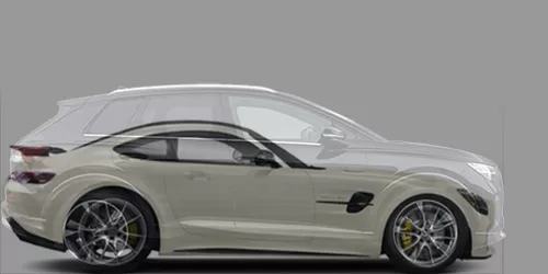 #Q4 e-tron 2022- + AMG GT 2015-
