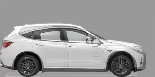 #X3 xDrive20i 2011- + Model Y デュアルモーター ロングレンジ 2020-