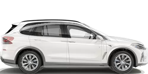 #X5 xDrive35d 2019- + Model X パフォーマンス 2015-