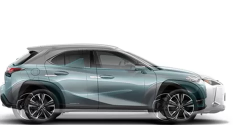 #DS3 CROSSBACK 2018- + UX200 2018-