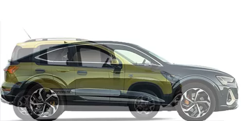 #PANDA CROSS 4x4 2020- + e-tron Sportback 55 quattro
