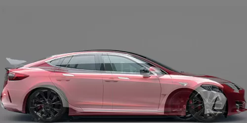 #シビック タイプR 2022- + Model S パフォーマンス 2012-