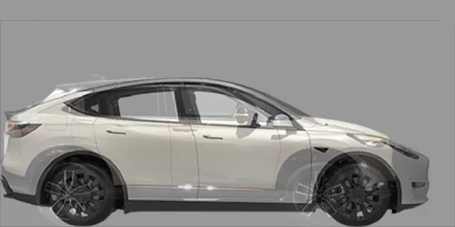 #VEZEL e:HEV X 4WD 2021- + model Y Dual Motor Long Range 2020-