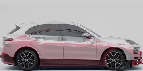 #Model S パフォーマンス 2012- + Cayenne E-Hybrid 2023-