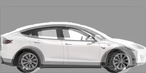 #Model X Performance 2015- + model Y Dual Motor Long Range 2020-