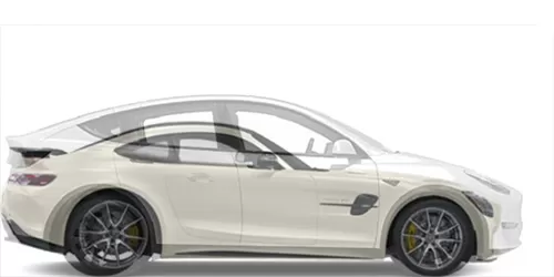 #model Y Dual Motor Long Range 2020- + AMG GT 2015-