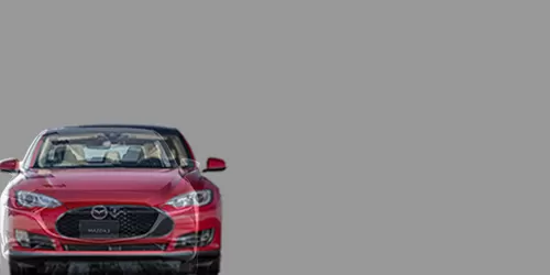 #MAZDA3 セダン 15S 2019- + Model S パフォーマンス 2012-