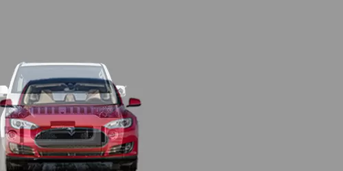 #DELICA D:5 G 2007- + Model S Performance 2012-