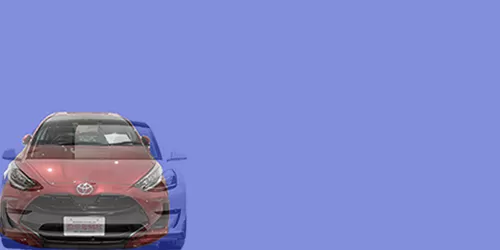 #Model 3 Dual Motor Performance 2017- + YARIS HYBRID G 2020-