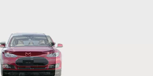 #Model S パフォーマンス 2012- + MX-30 2020-