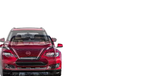 #Model S Performance 2012- + Rogue 2021-