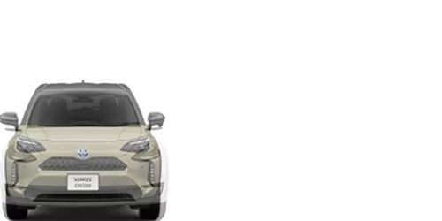 #model Y Dual Motor Long Range 2020- + YARIS CROSS HYBRID G 2020-