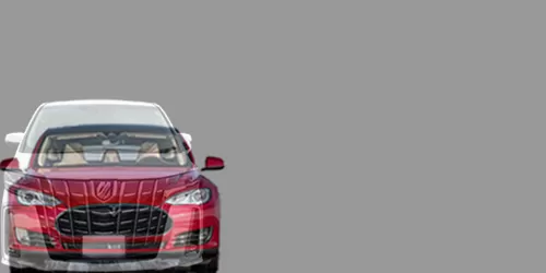 #ALPHARD HYBRID S 2015- + model S Long Range 2012-